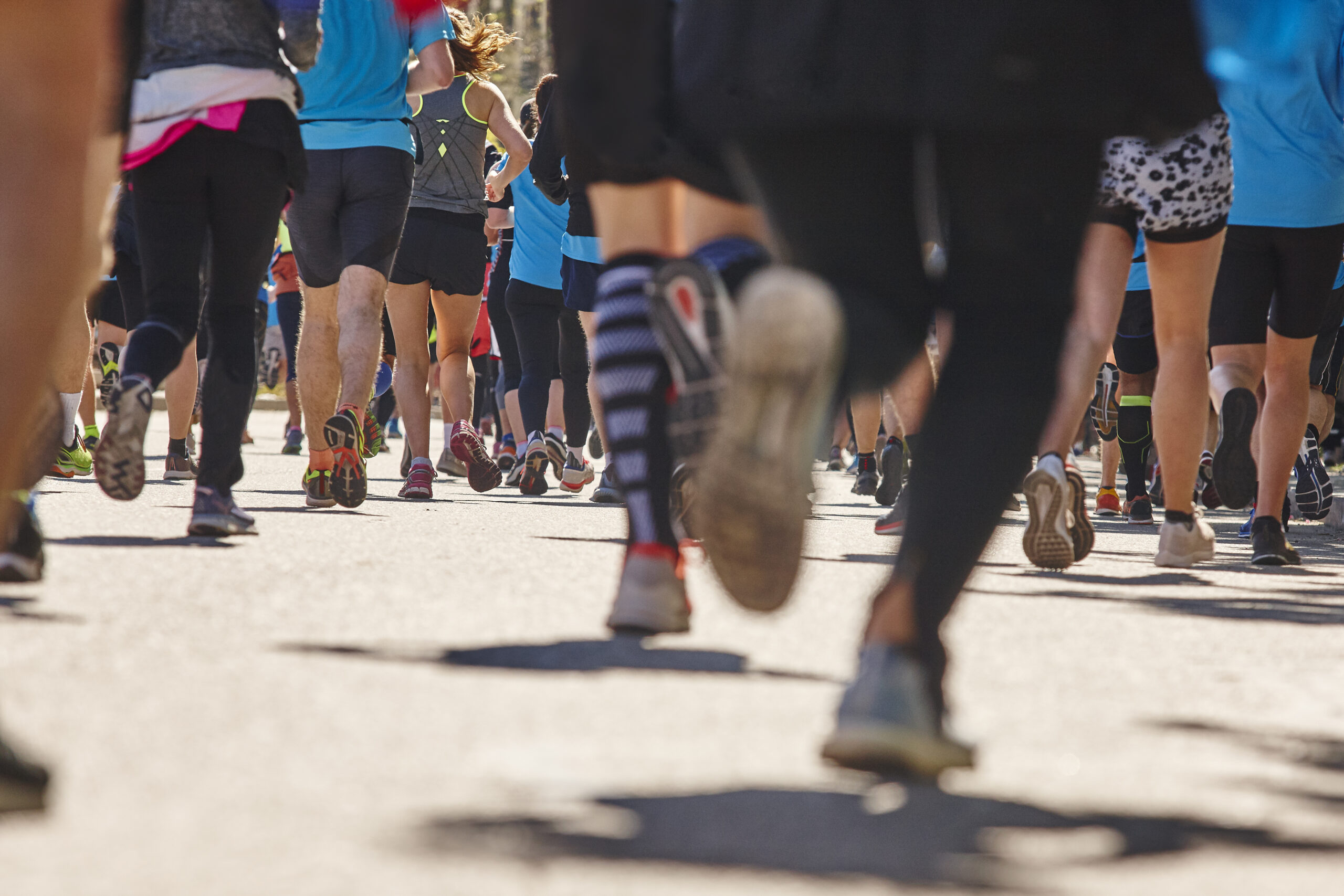 Meet the Filling in the Blanks 2026 Half Marathon Team